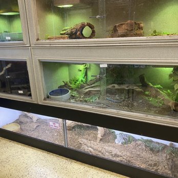 Zookeeper - Snakes - Pet Stores Near Me - Austin, Texas
