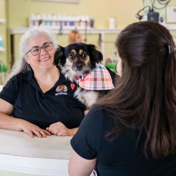 Salty Dog Wash - Pet Groomers Near Me - Galveston, Texas Salty Dog Wash - Pet Groomers Near Me - Galveston, Texas