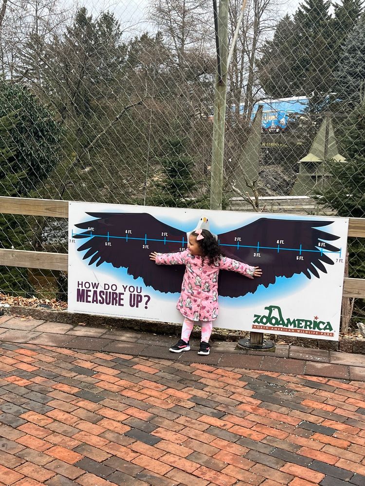 ZOOAMERICA NORTH AMERICAN WILDLIFE PARK Updated August 2024 436