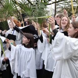 Palm Sunday 2018
