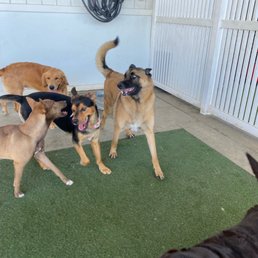 Cooper and friends.