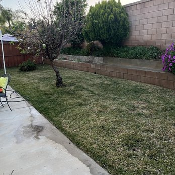 Palacios Landscaping - Landscaping Near Me - Lake Elsinore, California