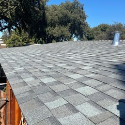 My new rooftop! My new rooftop!
