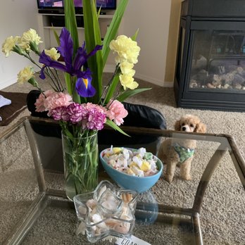 Starfish Point - Fresh flowers. - Hotels Near Me - Newport, Oregon