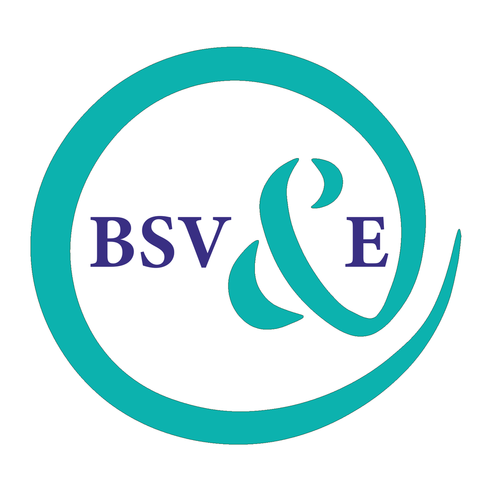 Boston SansVein & Esthétiques Logo