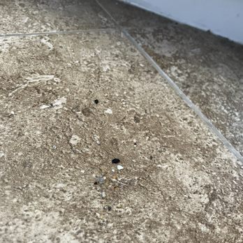 The Cleaning - Rocks? And debris in the kitchen. - Office Cleaning Near Me - La Mesa, California The Cleaning - Rocks? And debris in the kitchen. - Office Cleaning Near Me - La Mesa, California