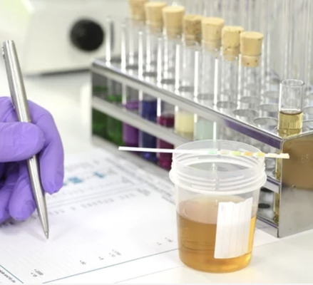 Solidified Lab Solutions