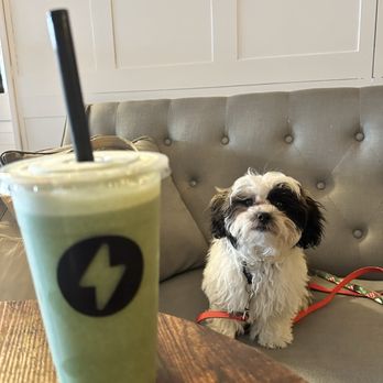 Aura Blends & Crafts - Dog Friendly - Juice Bars & Smoothies Near Me - Oakland Park, Florida