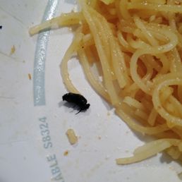 S12 Singapore Chow Mei Fun . With a side of FLY.