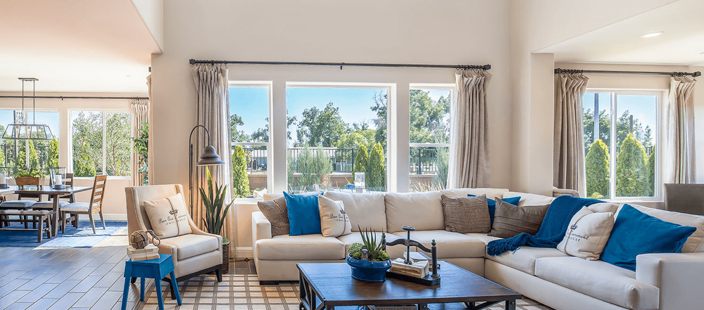 Slide of Bizzy Bee Builders