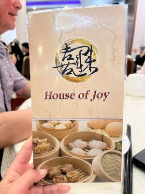House of Joy by null
