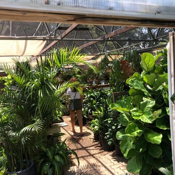 Rainbow Gardens - Nurseries & Gardening Near Me - San Antonio, Texas