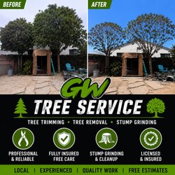 GW Tree Service - Carrotwood Tree Trimming in Bellflower, CA Another tree trimming job completed!