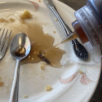 Hi-Lo Cafe - Burnt plastic marinating in waffle - American Near Me - Weed, California Hi-Lo Cafe - Burnt plastic marinating in waffle - American Near Me - Weed, California