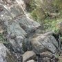 Gridley Trail