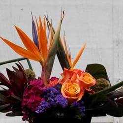 Flowers By Snellings - Custom tropical arrangement