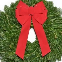 R&D Christmas Trees & More