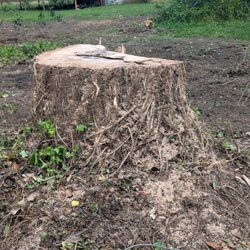 M&A Tree Service
