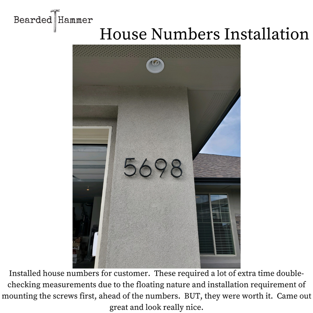 Slide of Bearded Hammer