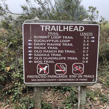 San Bruno Mountain State & County Park - No dogs & no bikes - Parks Near Me - Brisbane, California San Bruno Mountain State & County Park - No dogs & no bikes - Parks Near Me - Brisbane, California