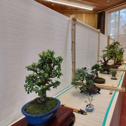Embassy of Japan