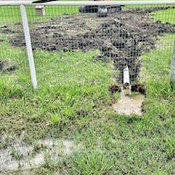Curly's Plumbing - This is the neighbors backyard being drained onto our property right by our driveway