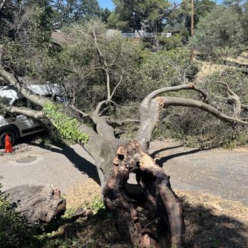 Sam's Tree Service - Tree Services Near Me - Creston, California Sam's Tree Service - Tree Services Near Me - Creston, California