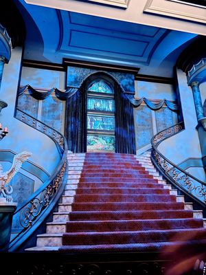 Tokyo Disneyland by null