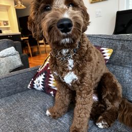 Waiting for my next Spa Day! Waiting for my next Spa Day!