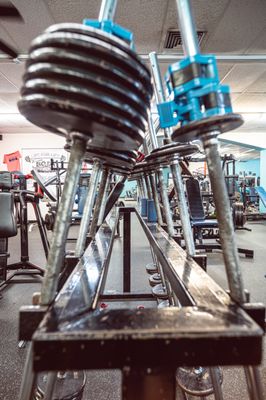 The Body Factory Health & Fitness Center by null