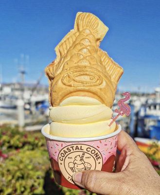 Coastal Cone & Parlor by null