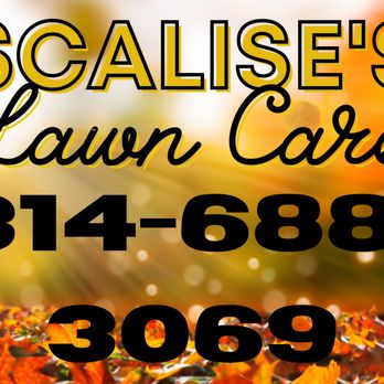 Scalise’s Lawn Care - start booking fall clean ups now! - Lawn Services Near Me Scalise’s Lawn Care - start booking fall clean ups now! - Lawn Services Near Me