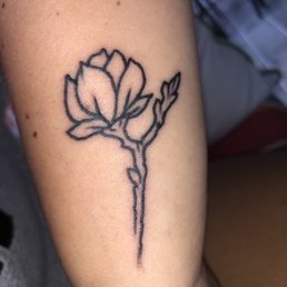 Magnolia flower line work Magnolia flower line work