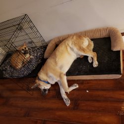 PAW-Sitively