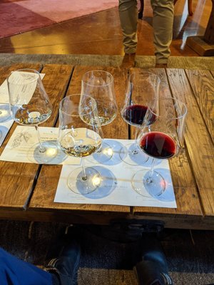 Mission Hill Family Estate Winery by null