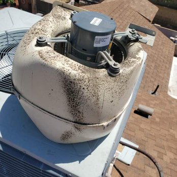 Cool N Arizona - Before with organic matter covering the blower!! - Heating & Air Conditioning/HVAC Near Me - Phoenix, Arizona Cool N Arizona - Before with organic matter covering the blower!! - Heating & Air Conditioning/HVAC Near Me - Phoenix, Arizona