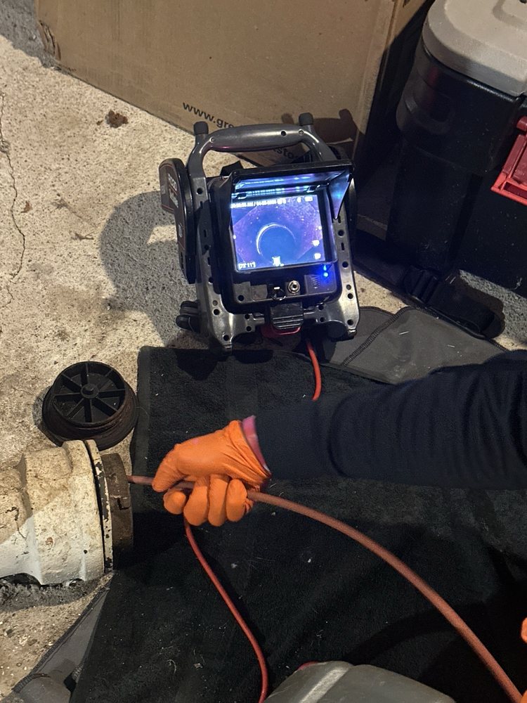 Slide of Ron the Sewer Rat