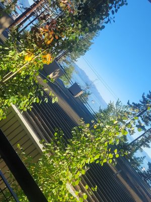 Firelite Lodge by null