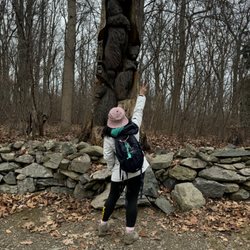Bears Den - Tree carving on a tree at the entrance