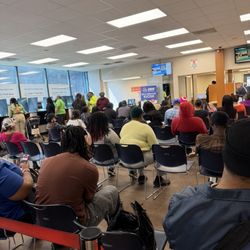 Department of Driver Services