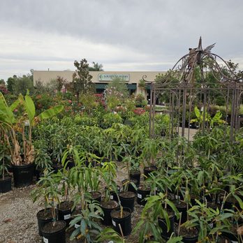 Louie's Nursery - Nurseries & Gardening Near Me - Riverside, California