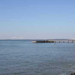 Golden Isles Realty