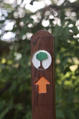 Gorman Nature Center by null