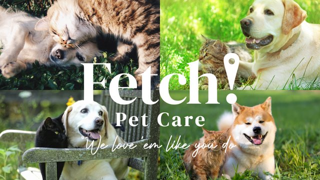 Fetch! Pet Care of Brevard Image