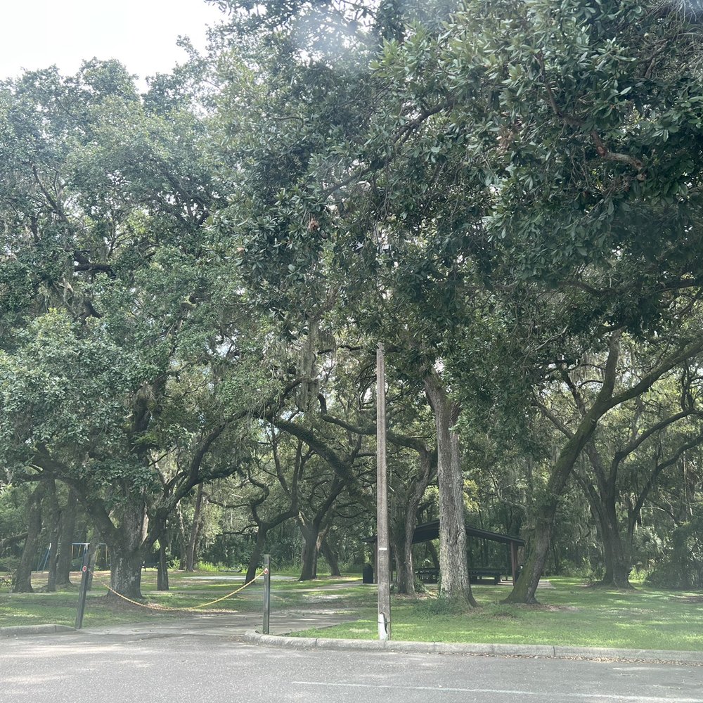 Marshall Street Park - Nicely shaded park with a picnic pavilion - Parks Near Me - Safety Harbor, Florida