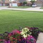 Photo of Bare Foot Turf