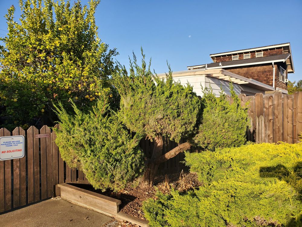 JDH GARDEN SERVICES - Updated April 2026 - 30 Photos &amp; 155 Reviews ...