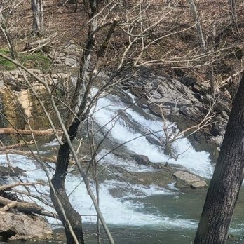 Amis Mill Eatery - Southern Near Me - Rogersville, Tennessee