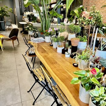 Kunst Coffee Haus - Coffee & Tea Near Me - Bayside, New York Kunst Coffee Haus - Coffee & Tea Near Me - Bayside, New York