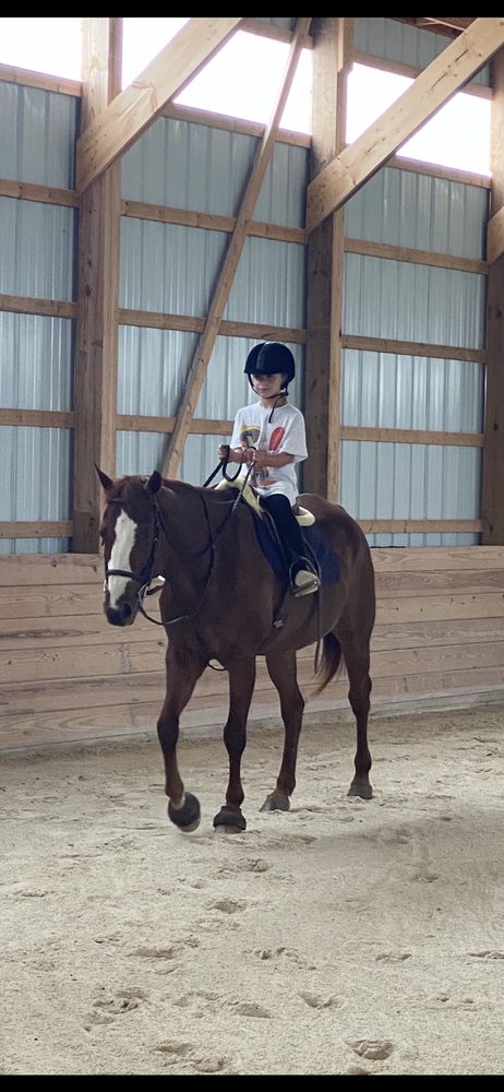 South Breeze at Chaptico Manor - equestrian in Mechanicsville, MD